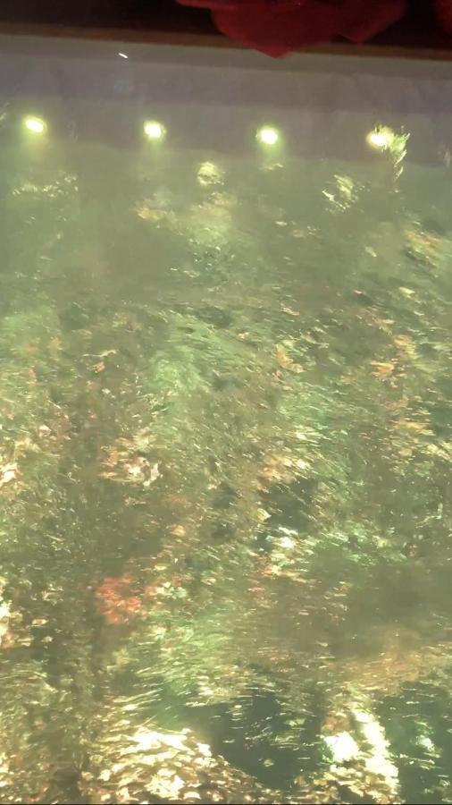 B&B La Reggia Di Rihanna Spa Caserta Dış mekan fotoğraf